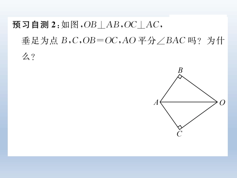 1.3直角三角形全等的判定_第3页