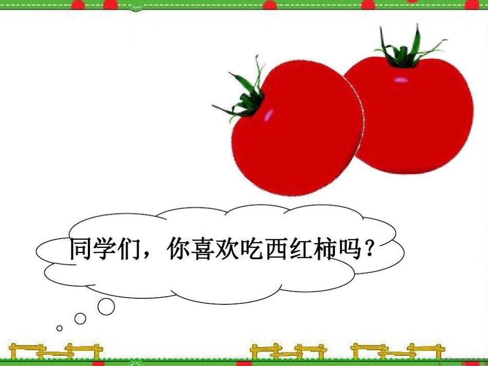 4植物和我们_第3页