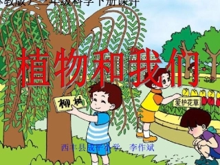 4植物和我们