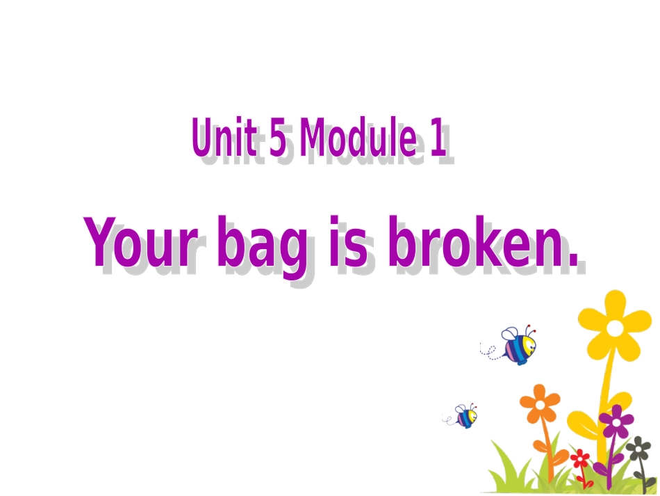 Unit1Yourbagisbroken._第1页