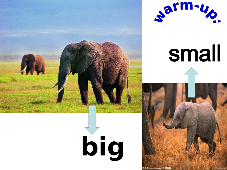 Unit1Yourbagisbroken._第2页