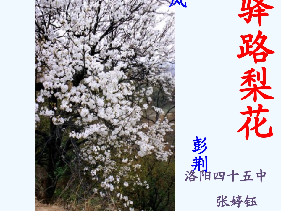 (部编)初中语文人教2011课标版七年级下册驿路梨花-(18)_第1页