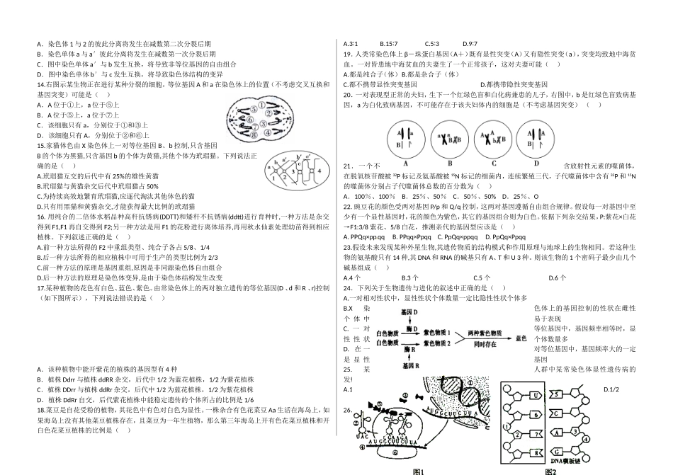 生物必修二试题(典型)_第2页