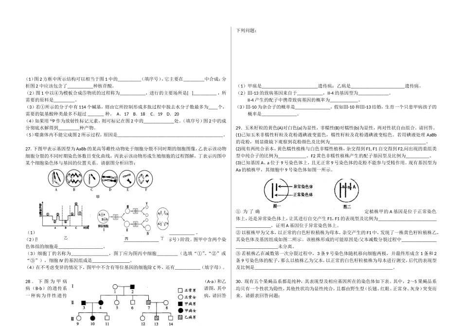 生物必修二试题(典型)_第3页