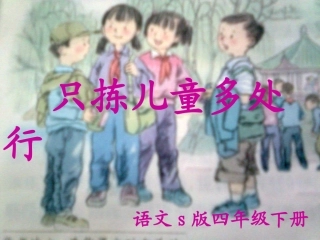 2只拣儿童多处行