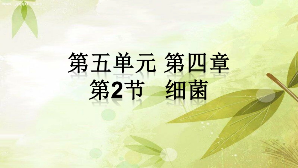 第二节-细菌_第1页