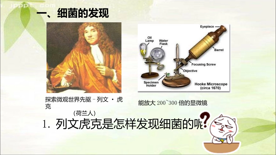 第二节-细菌_第2页