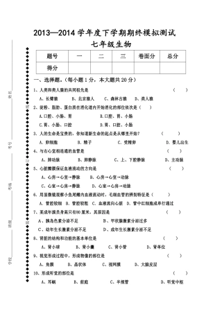 七年级生物下学期期终模拟试题