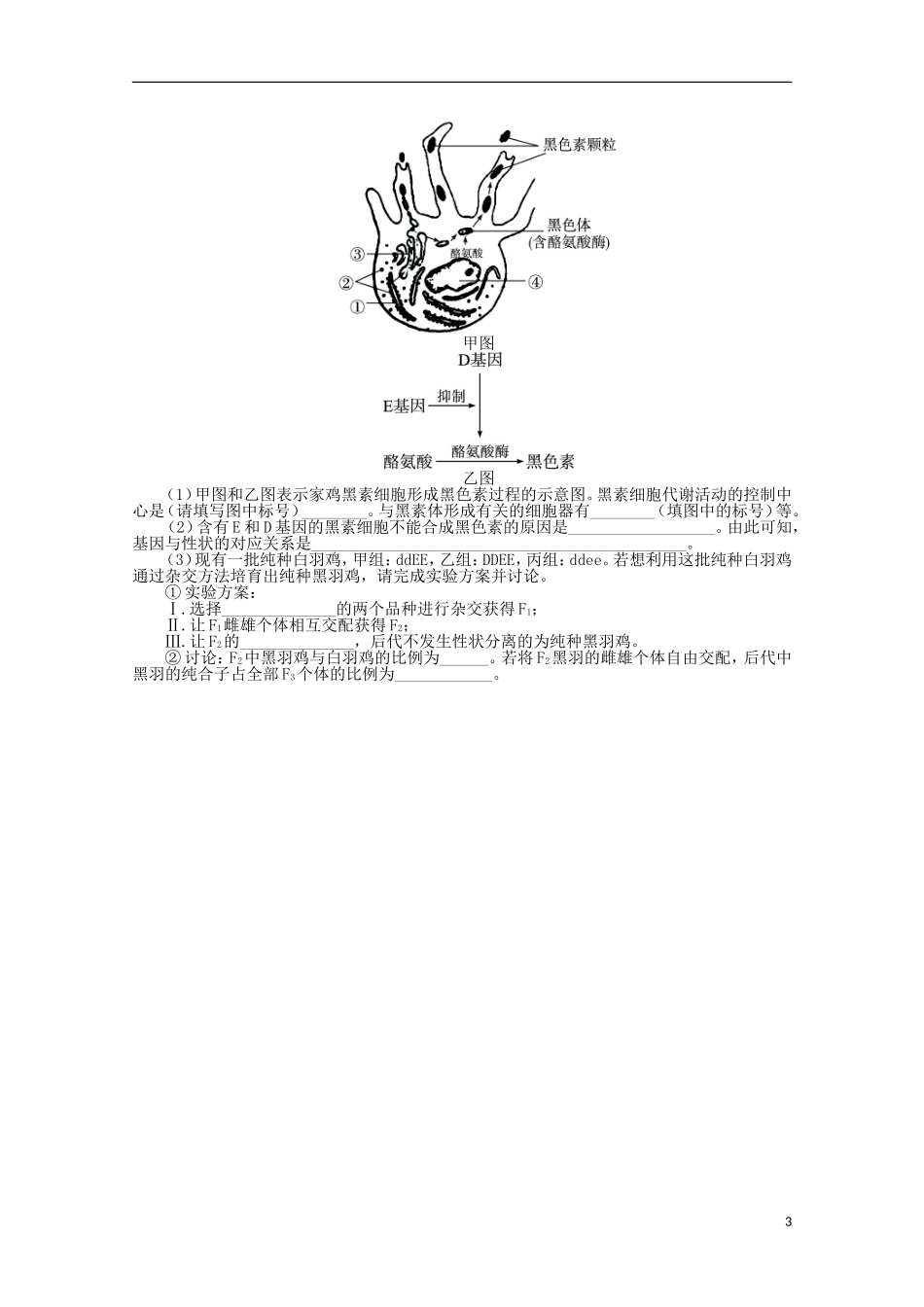 (浙江专用)2013年高考生物第二轮复习-专题四-生物的遗传专题升级训练卷-浙教版_第3页