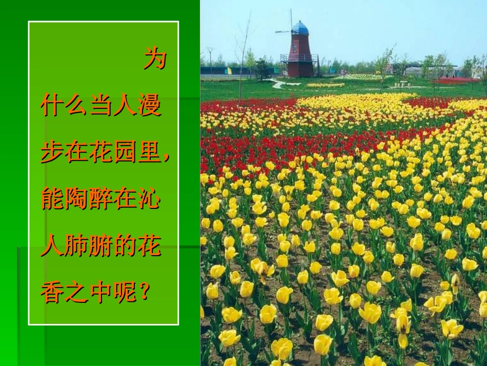 课题2分子和原子-(6)_第3页