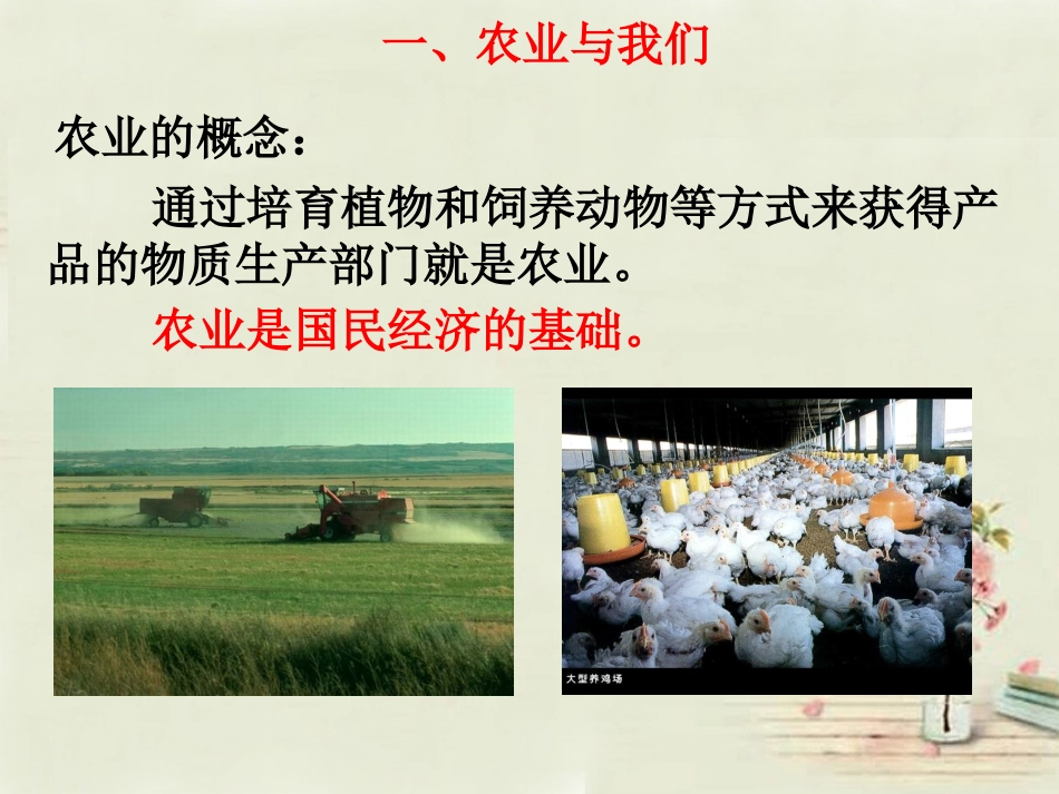 第一节因地制宜发展农业_第3页