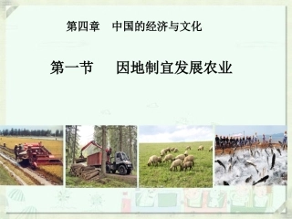 第一节因地制宜发展农业