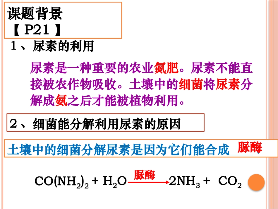 课题2-土壤中分解尿素的细菌的分离与计数_第2页