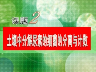 课题2-土壤中分解尿素的细菌的分离与计数