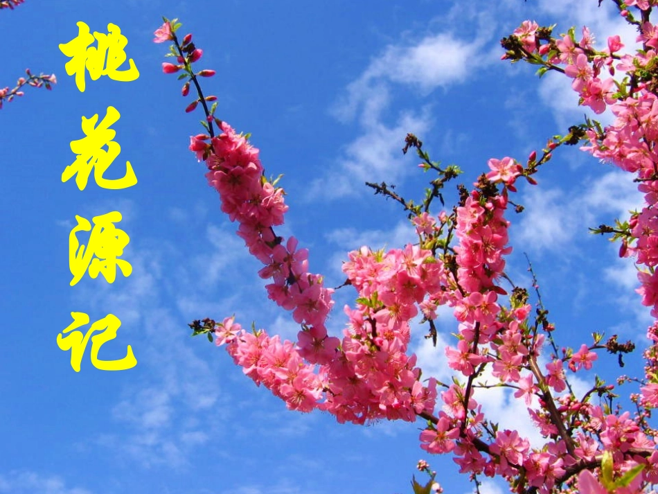 桃花源记教学案_第1页