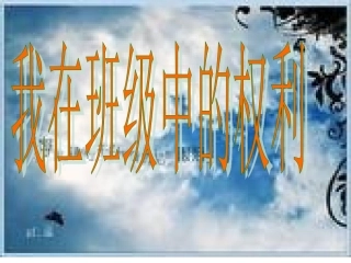 我在班级中的权利