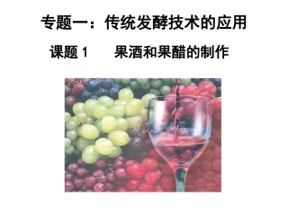 1.1果酒和果醋的制作