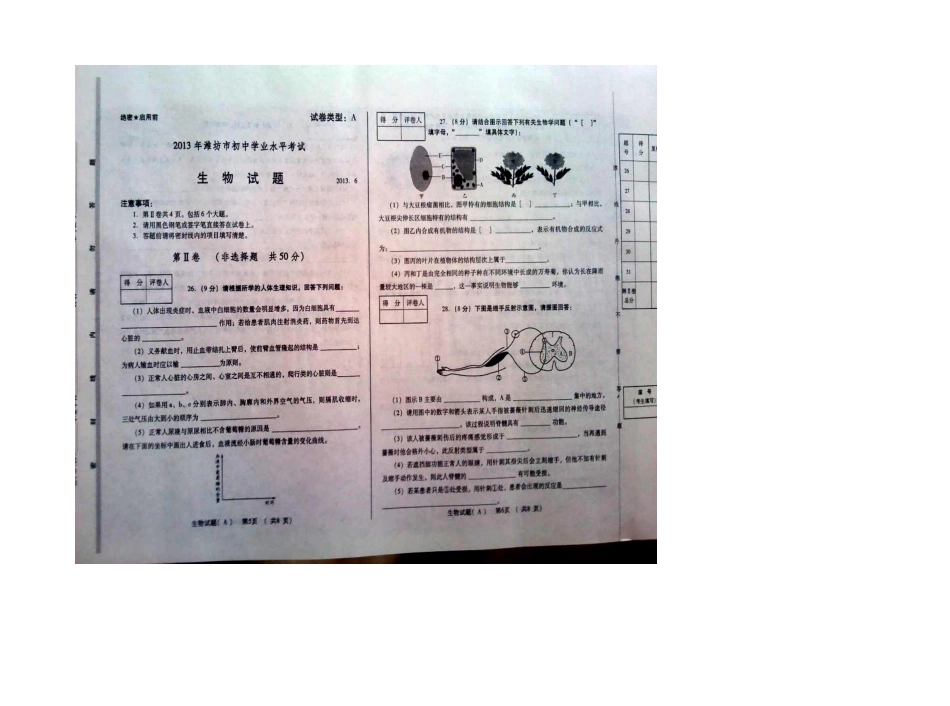 2013年潍坊市中考生物试题及答案_第3页