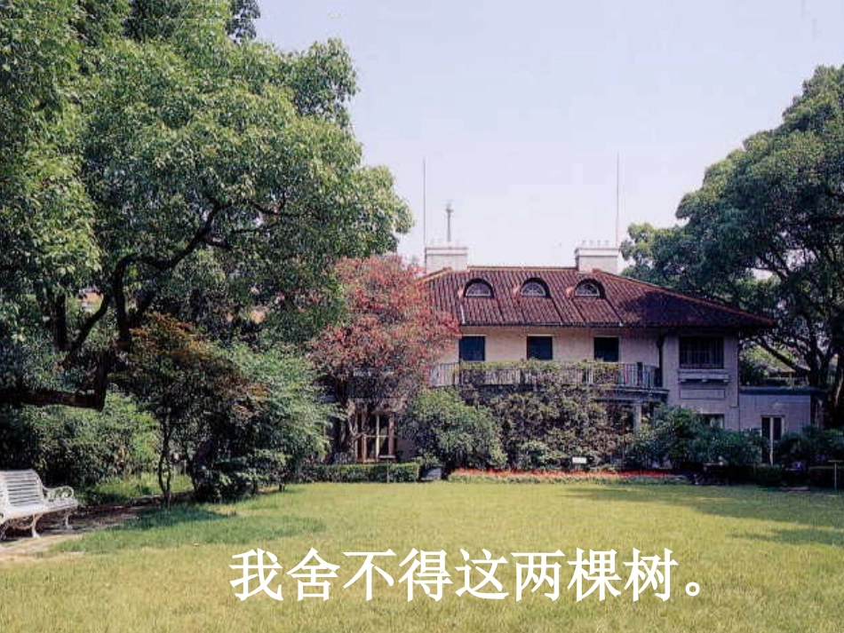 22宋庆龄故居的樟树_第2页
