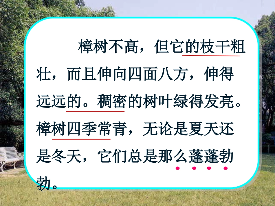 22宋庆龄故居的樟树_第3页