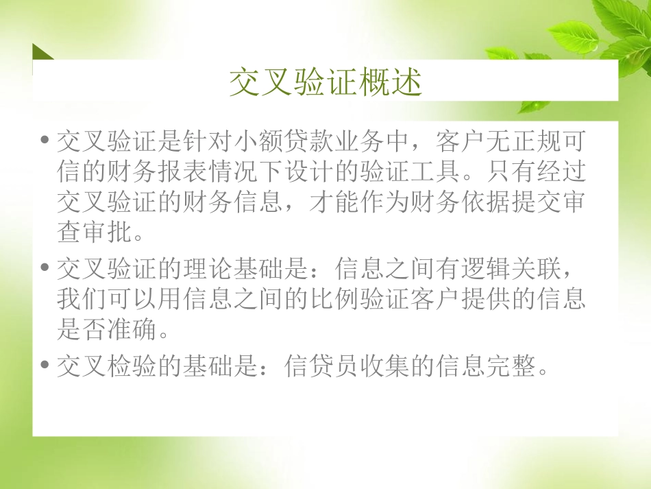 银行、小贷公司----经营类小额贷款财务信息交叉验证(三品四表五度)_第3页