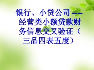 银行、小贷公司----经营类小额贷款财务信息交叉验证(三品四表五度)
