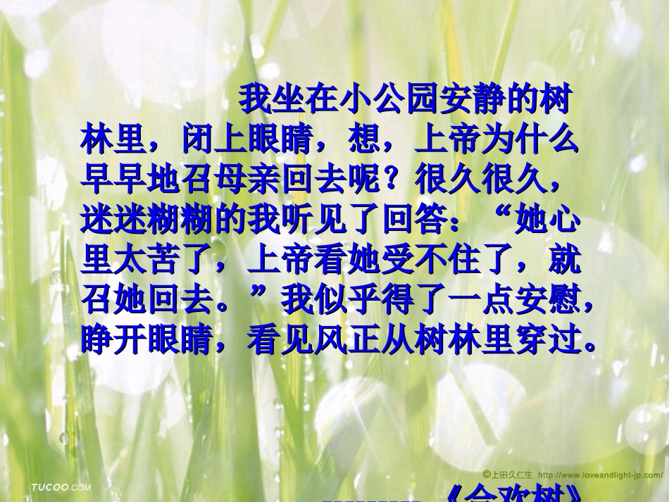 (部编)初中语文人教2011课标版七年级上册黄永勤《秋天的怀念》_第1页