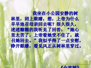 (部编)初中语文人教2011课标版七年级上册黄永勤《秋天的怀念》