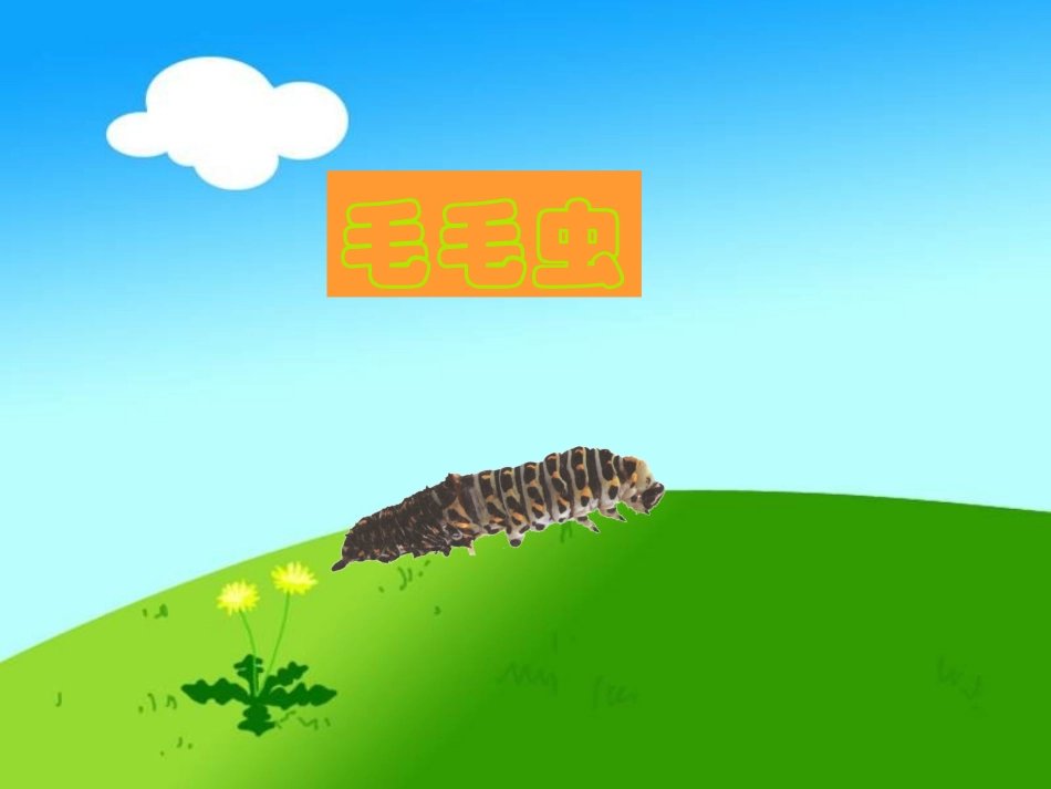 15毛毛虫不见了_第2页