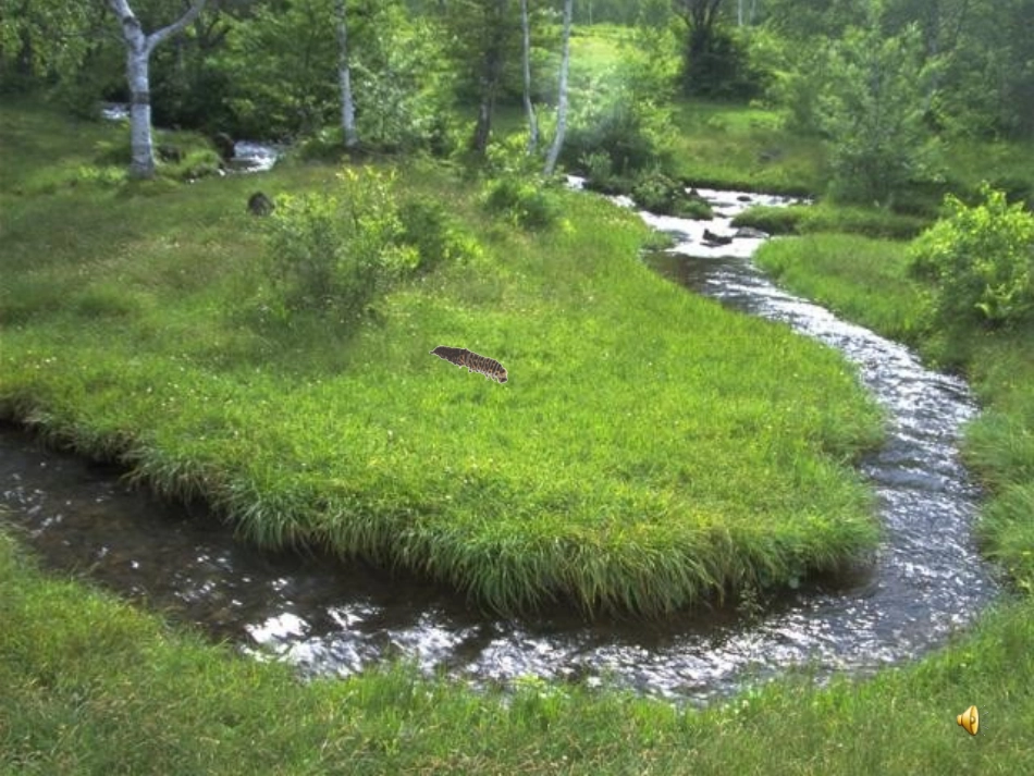 15毛毛虫不见了_第3页