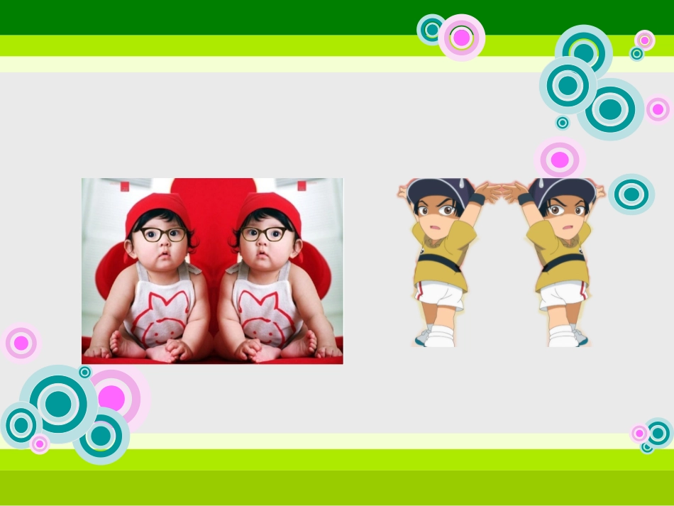 人教课标版小学美术四年级下册《双胞胎》课件_第2页