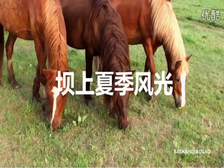 草原就是我的家(教学)_第3页