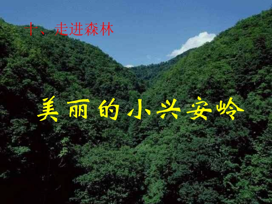 ①美丽的小兴安岭_第1页