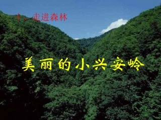 ①美丽的小兴安岭