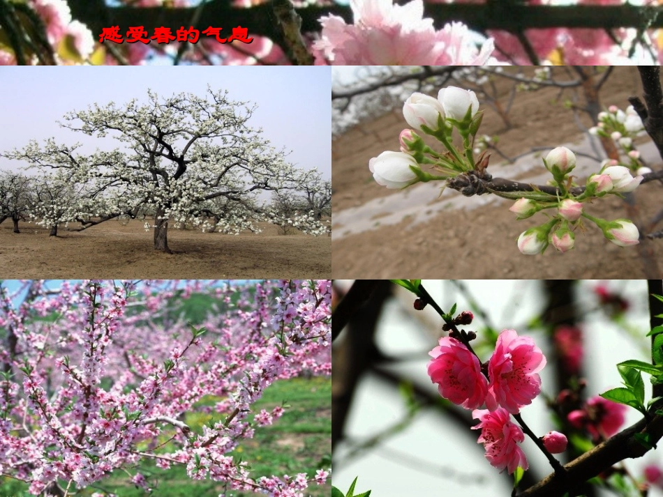 1、春-朱自清_第1页