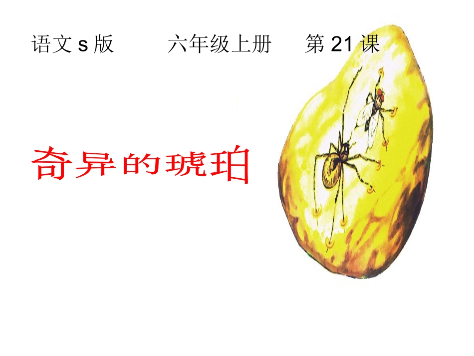 21奇异的琥珀_第1页