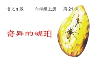 21奇异的琥珀