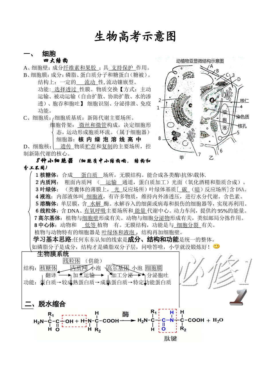 新课标生物高考示意图_第1页