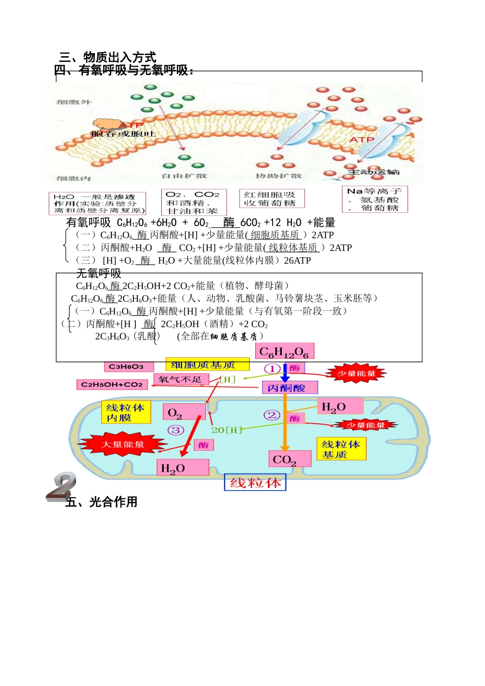新课标生物高考示意图_第2页