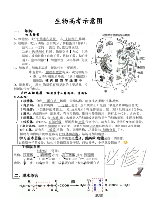 新课标生物高考示意图