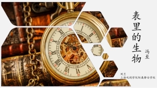 13-表里的生物-(4)