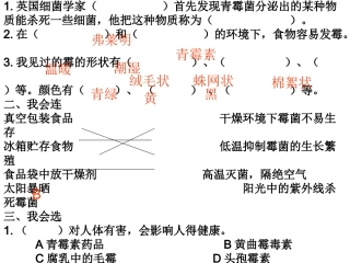 3.馒头发霉了复习