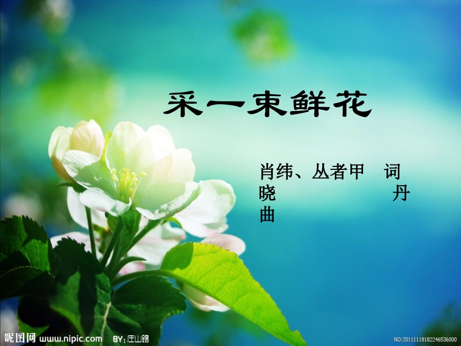 唱采一束鲜花_第2页