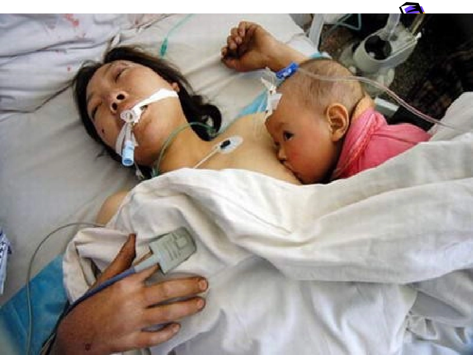 357我的母亲_第3页