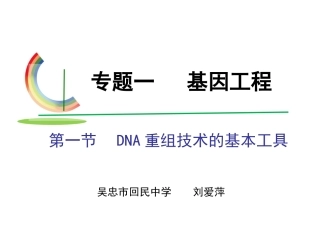 1.1-DNA重组技术的基本工具