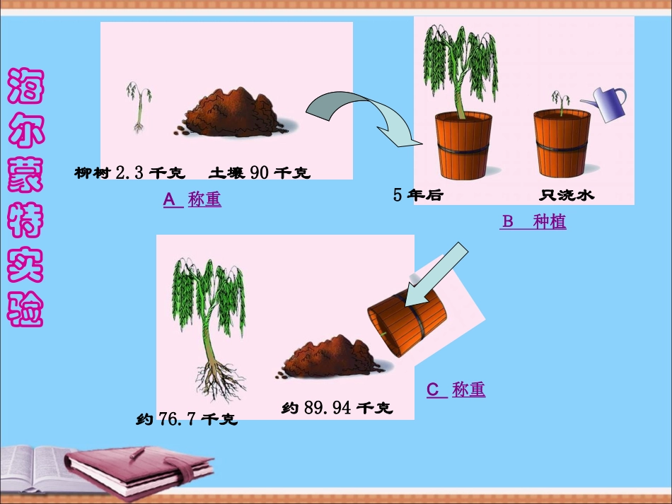 绿色植物的生长需要水和无机盐_第1页
