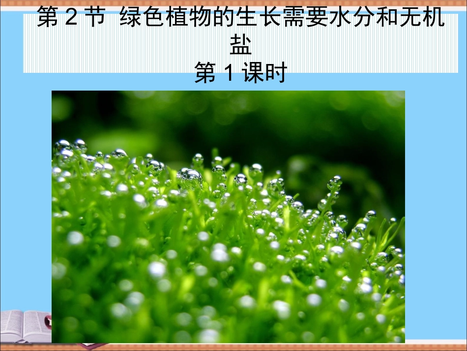 绿色植物的生长需要水和无机盐_第3页