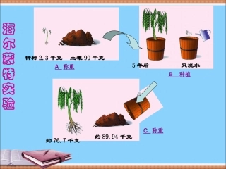 绿色植物的生长需要水和无机盐