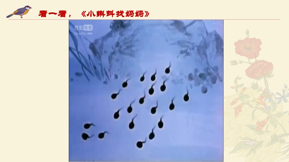 9.妙笔生花_第2页