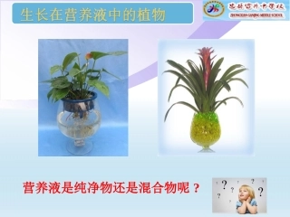 课题1-溶液的形成